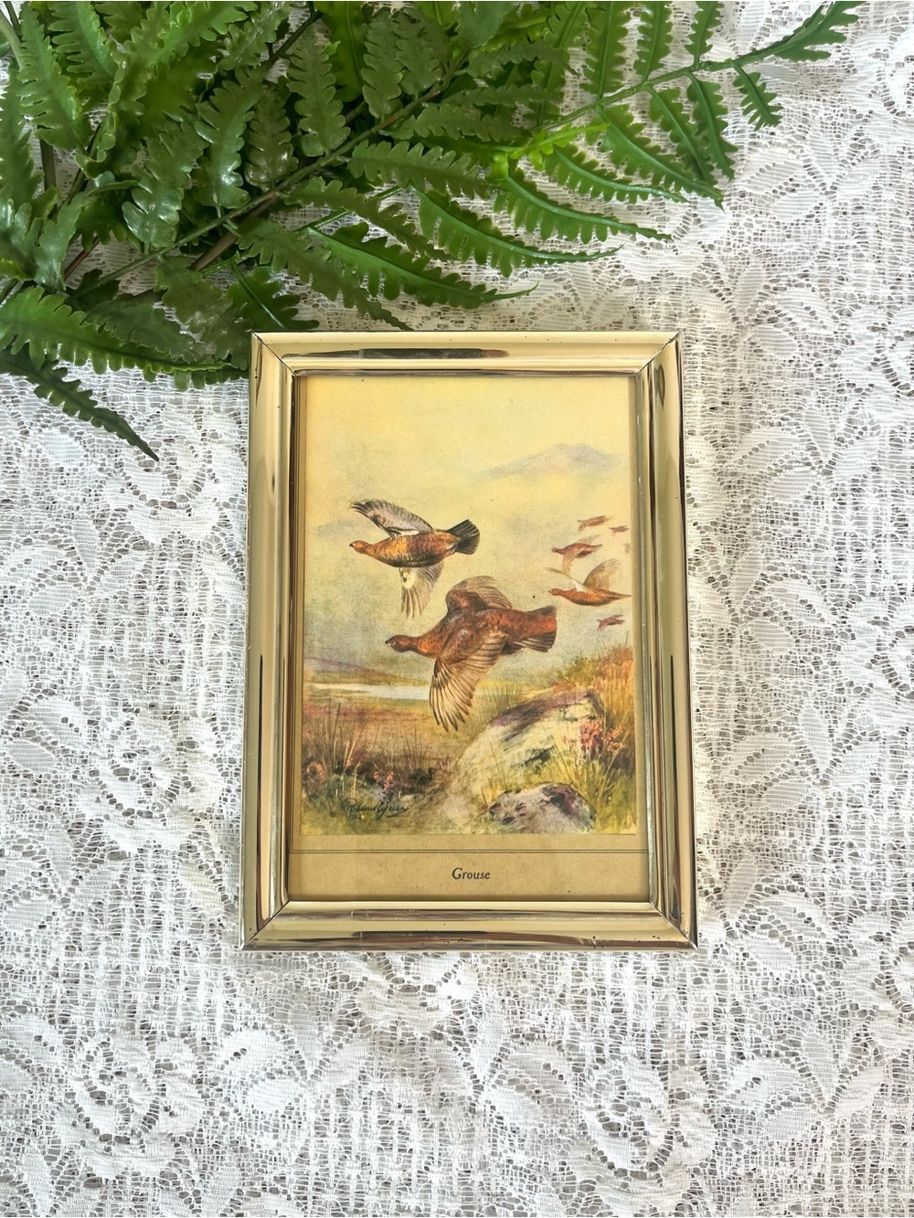 Vintage Solid Brass Framed Grouse Decor 5x7